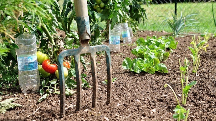 Generic placeholder image